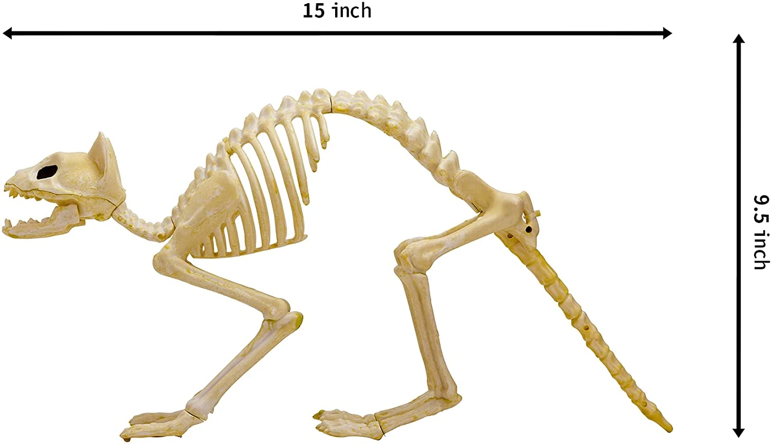 Joyin 2Pcs Halloween Cat Skeleton with Tail - Halloween Decorations 7 Joyin 2Pcs Halloween Cat Skeleton with Tail - Halloween Decorations - Image 7