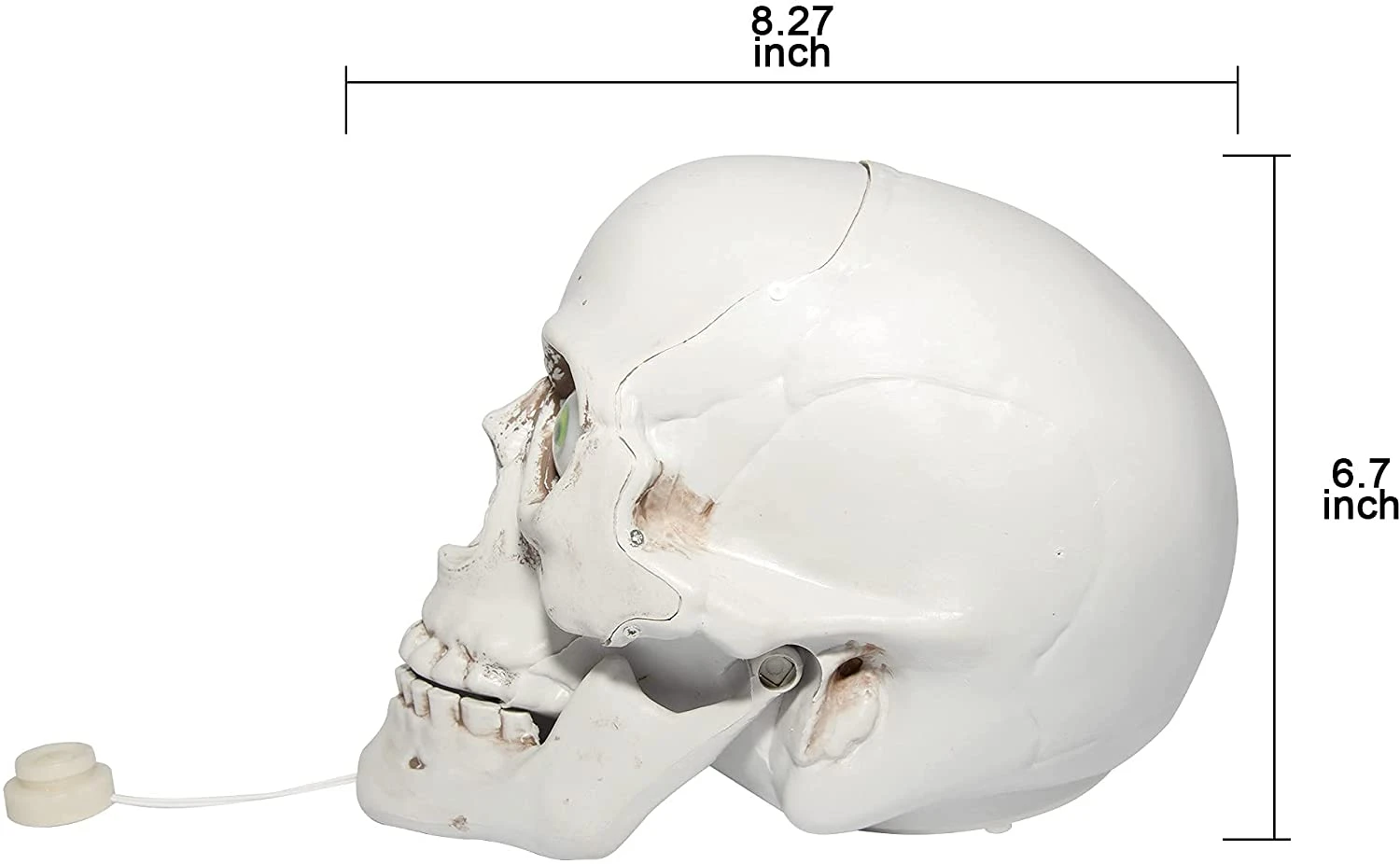 Joyin Skull Table Centerpiece Decoration - Halloween Decorations 4 Joyin Skull Table Centerpiece Decoration - Halloween Decorations - Image 4