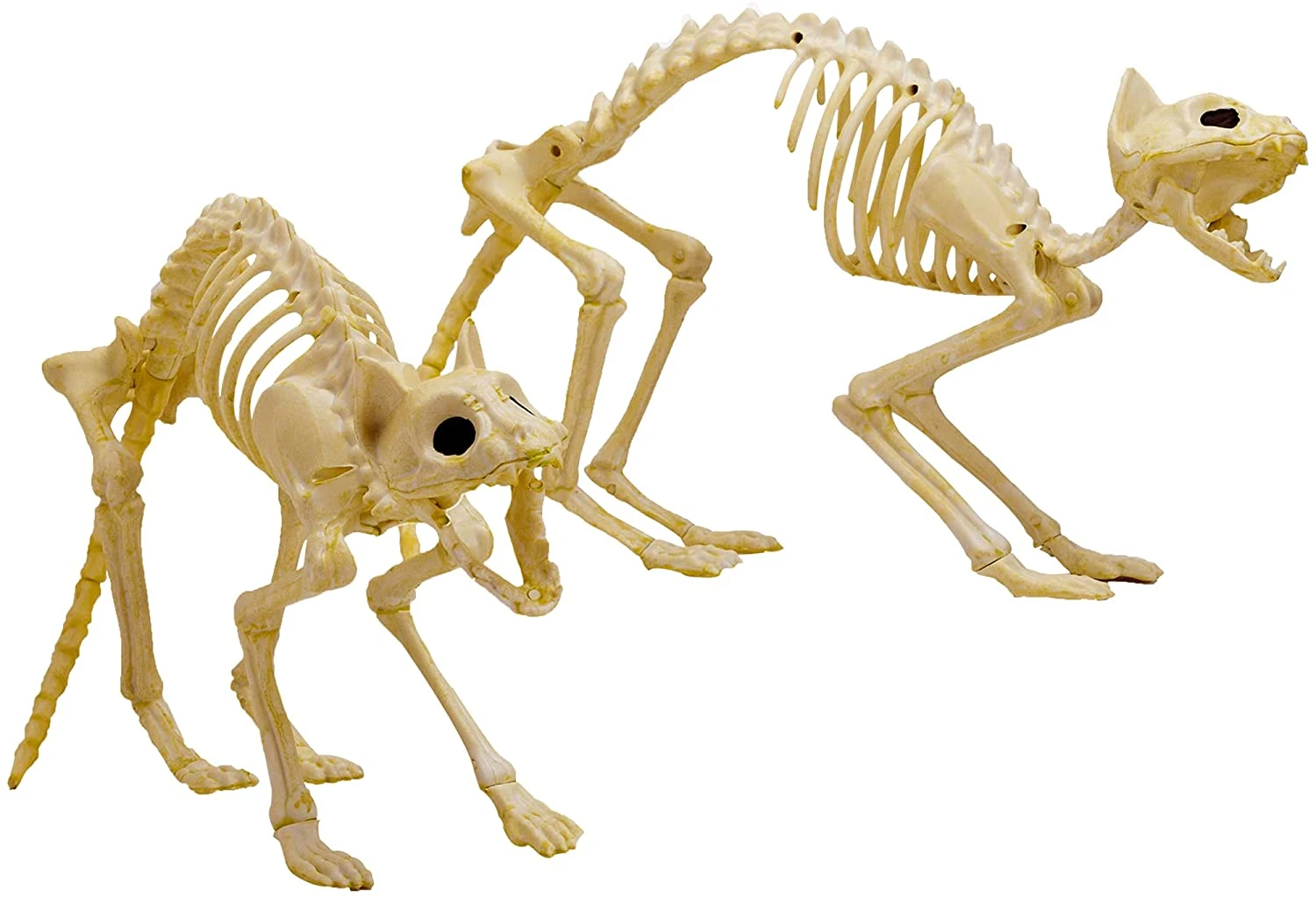 Joyin 2Pcs Halloween Cat Skeleton with Tail - Halloween Decorations 2 Joyin 2Pcs Halloween Cat Skeleton with Tail - Halloween Decorations - Image 2