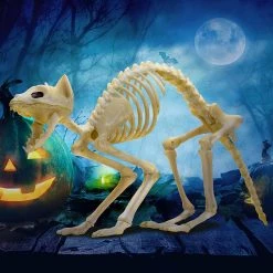 Joyin 2Pcs Halloween Cat Skeleton with Tail - Halloween Decorations 12 Joyin 2Pcs Halloween Cat Skeleton with Tail - Halloween Decorations -Halloween Decorations Sales 81TXkTuqNBL. AC SL1500