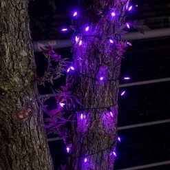 Joiedomi 100-Count Purple LED String Lights 34ft - Halloween Decorations -Halloween Decorations Sales 915XgvDpCtL. AC SL1500
