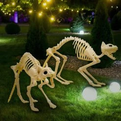 Joyin 2Pcs Halloween Cat Skeleton with Tail - Halloween Decorations 10 Joyin 2Pcs Halloween Cat Skeleton with Tail - Halloween Decorations -Halloween Decorations Sales 91rXLRArPiL. AC SL1500