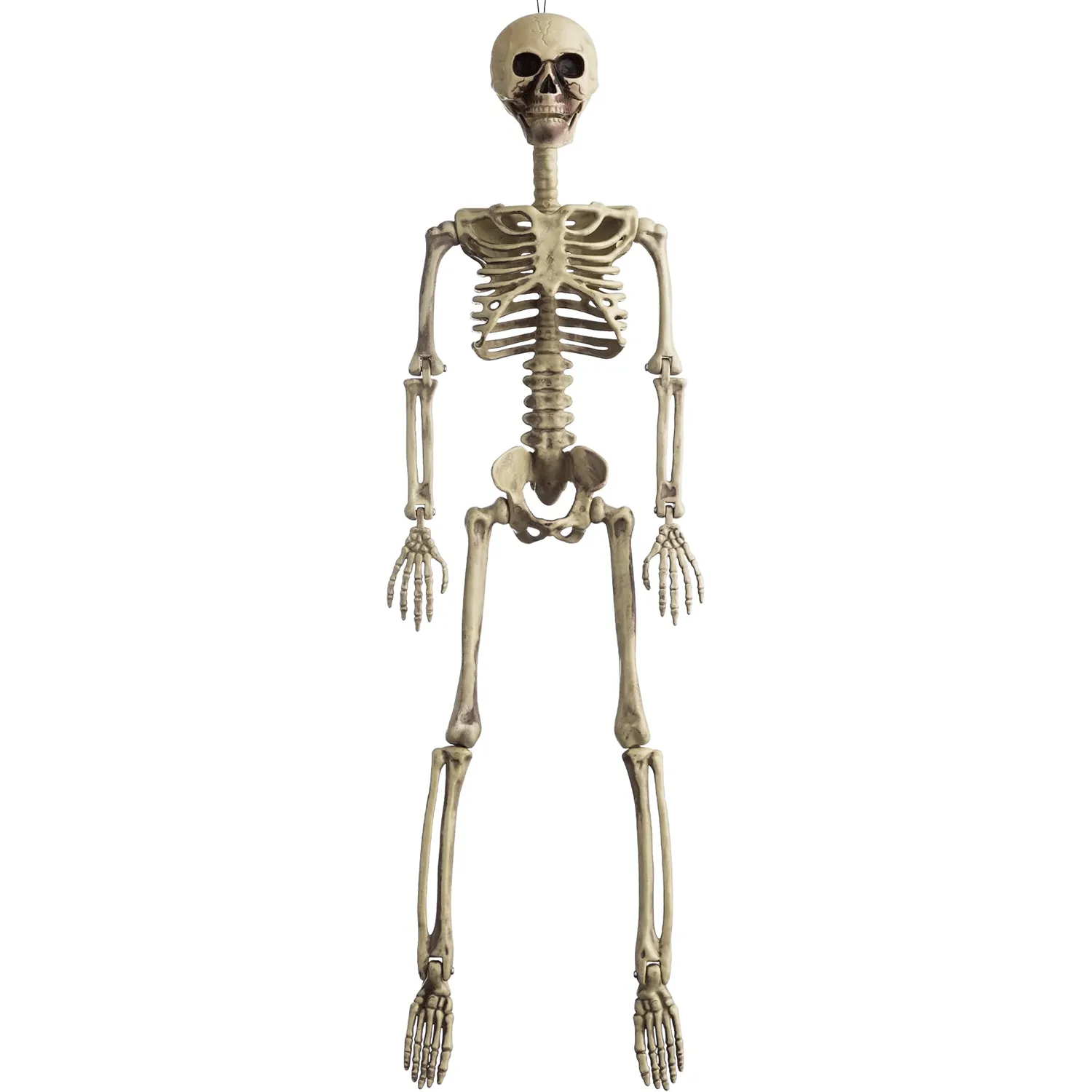Joyin Posable Skeleton 36in - Halloween Decorations