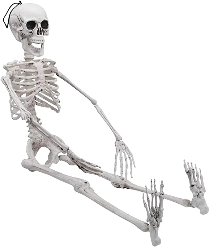 Halloween Decorations Sales -Halloween Decorations Sales Posable Skeleton Halloween Decoration 36in 1 1