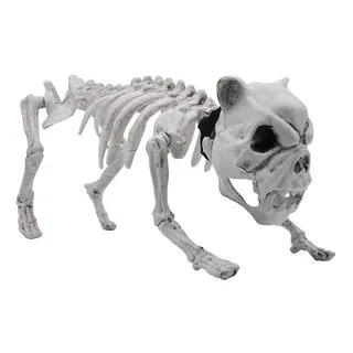 Joyin Halloween Posable Dog Skeleton Decoration 16in - Halloween Decorations 5 Joyin Halloween Posable Dog Skeleton Decoration 16in - Halloween Decorations - Image 5