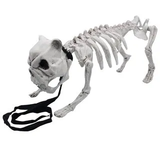 Joyin Halloween Posable Dog Skeleton Decoration 16in - Halloween Decorations 6 Joyin Halloween Posable Dog Skeleton Decoration 16in - Halloween Decorations - Image 6